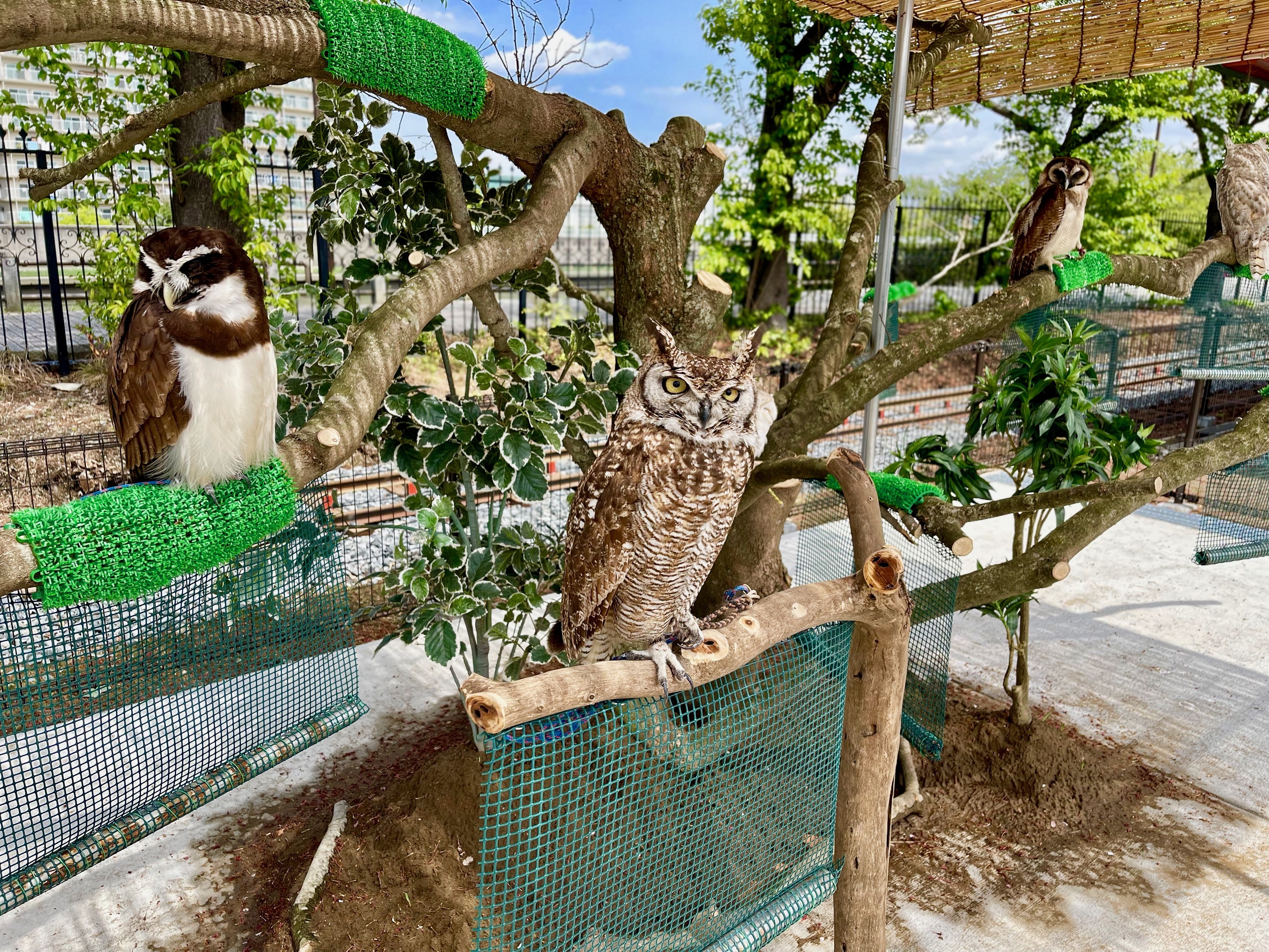 あらかわ遊園