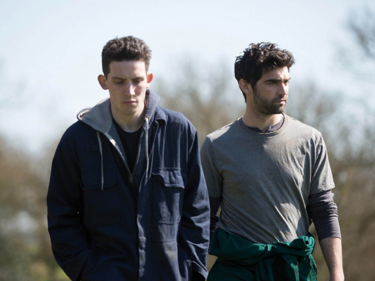 God’s Own Country (2017)