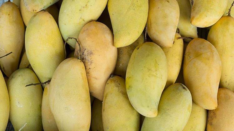 Mangos