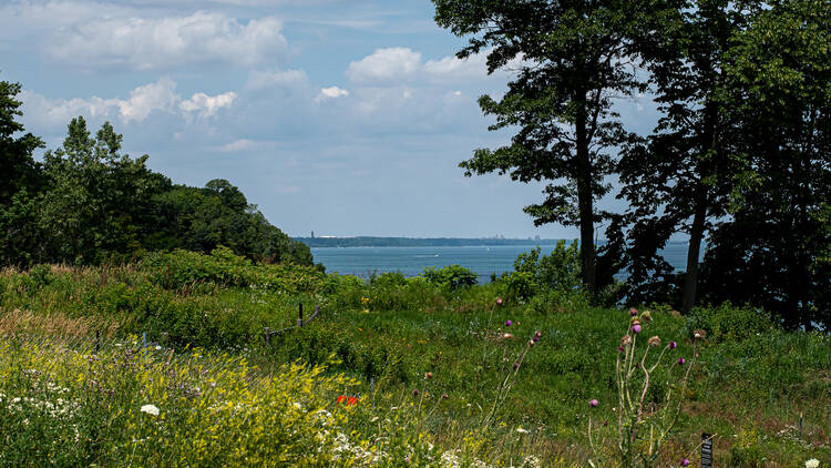 Find your bliss at this forest preserve and shoreline