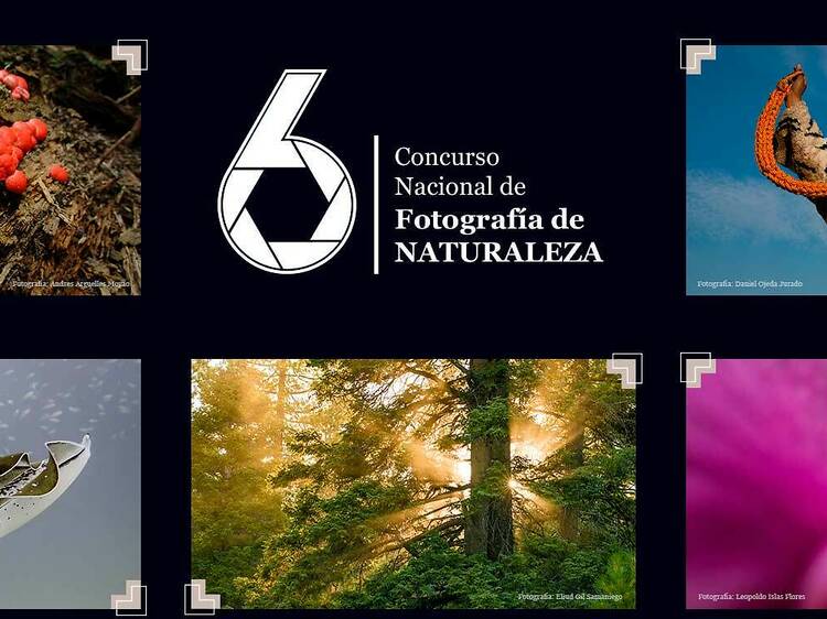 6° Concurso Nacional de Fotografía de Naturaleza