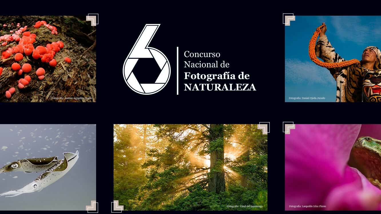 6° Concurso Nacional de Fotografía de Naturaleza.