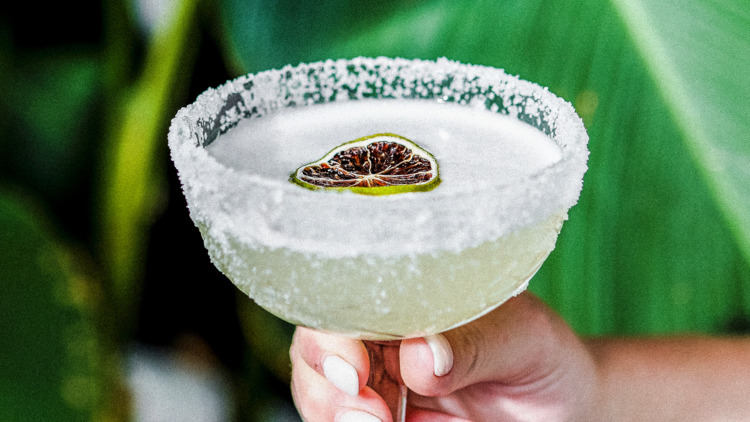 margarita