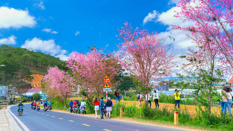 Da Lat, Vietnam