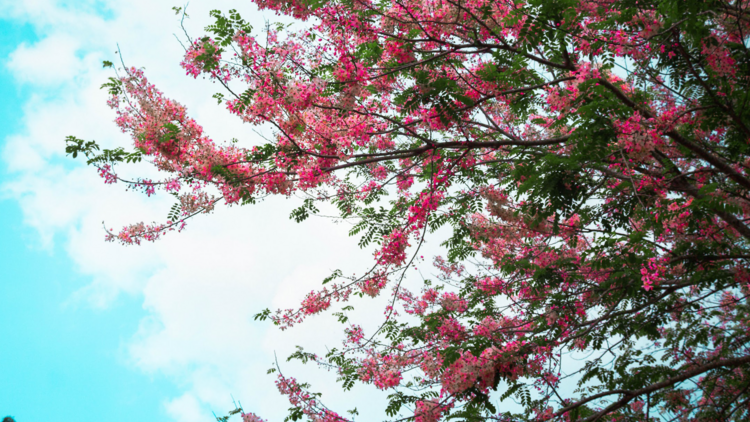 Palawan and Cavite, Philippines