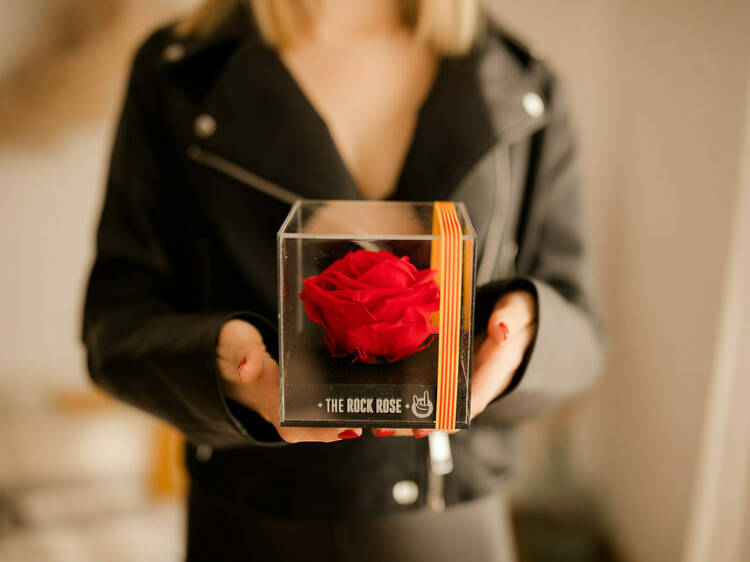 Las 6 rosas más originales para regalar este Sant Jordi 2024