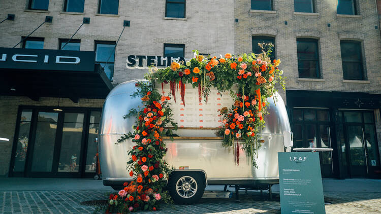 What To Do in NYC: L.E.A.F. Flower Festival Begins June 10 in Meatpacking  District – NBC New York