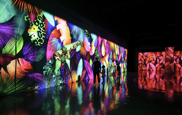 Korea: Cubically Imagined