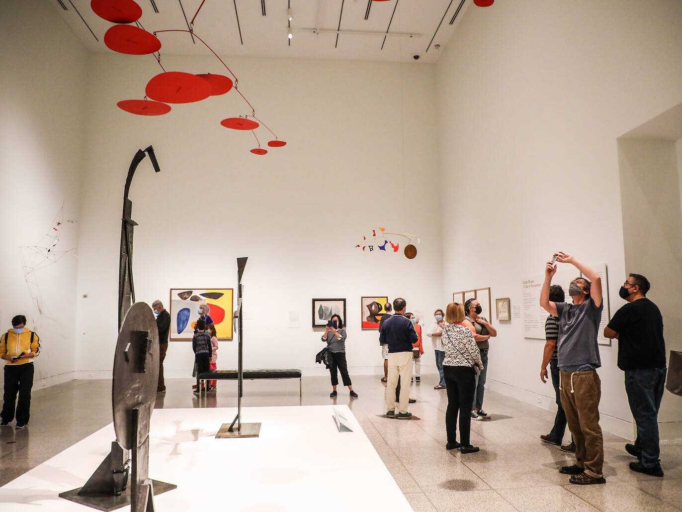10 Best Museums in Houston