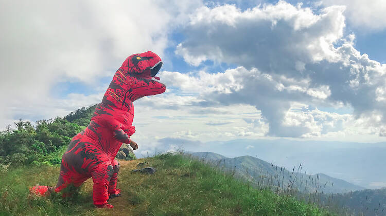 An inflatable T-Rex costume standing on a high ground overlooking the mountains