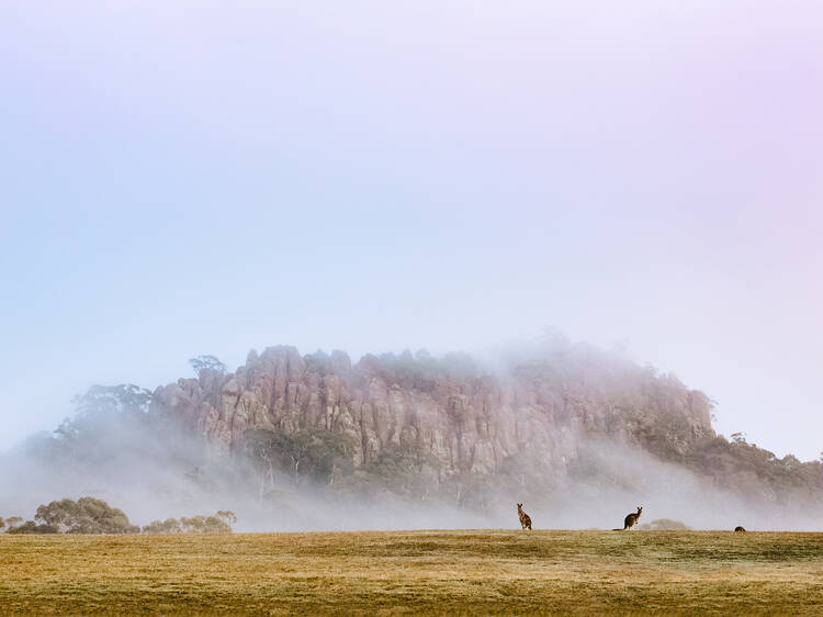 'Picnic at Hanging Rock' – Hanging Rock, VIC