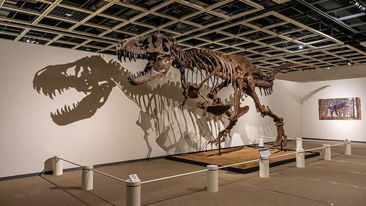 Yomiuriland Dinosaur Exhibition