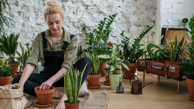 A woman tending to potted plants.