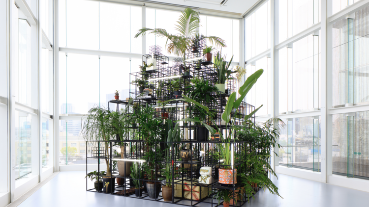 Rashid Johnson – Plateaus 