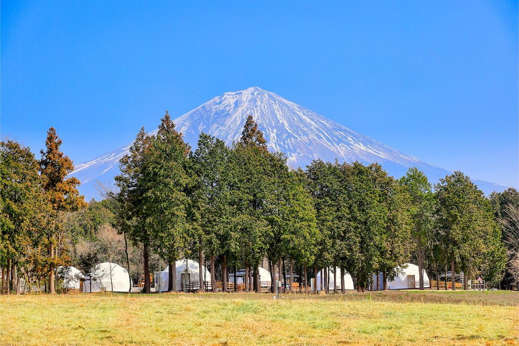 Photo: Booking Resort