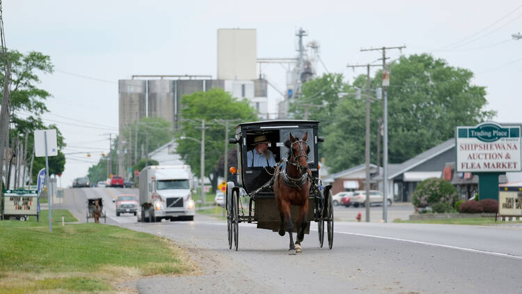 Check out Amish Country in Shipshewana, IN