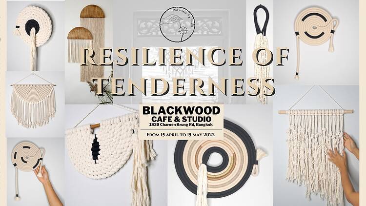 Resilience of Tenderness