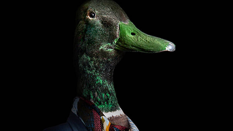 El pato salvaje (Teatro de la Abadía) El pato salvaje (Teatro de la Abadía)