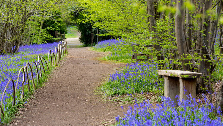 Hole Park, Kent