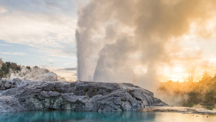 Wonder at Maori art and tour a geothermal valley