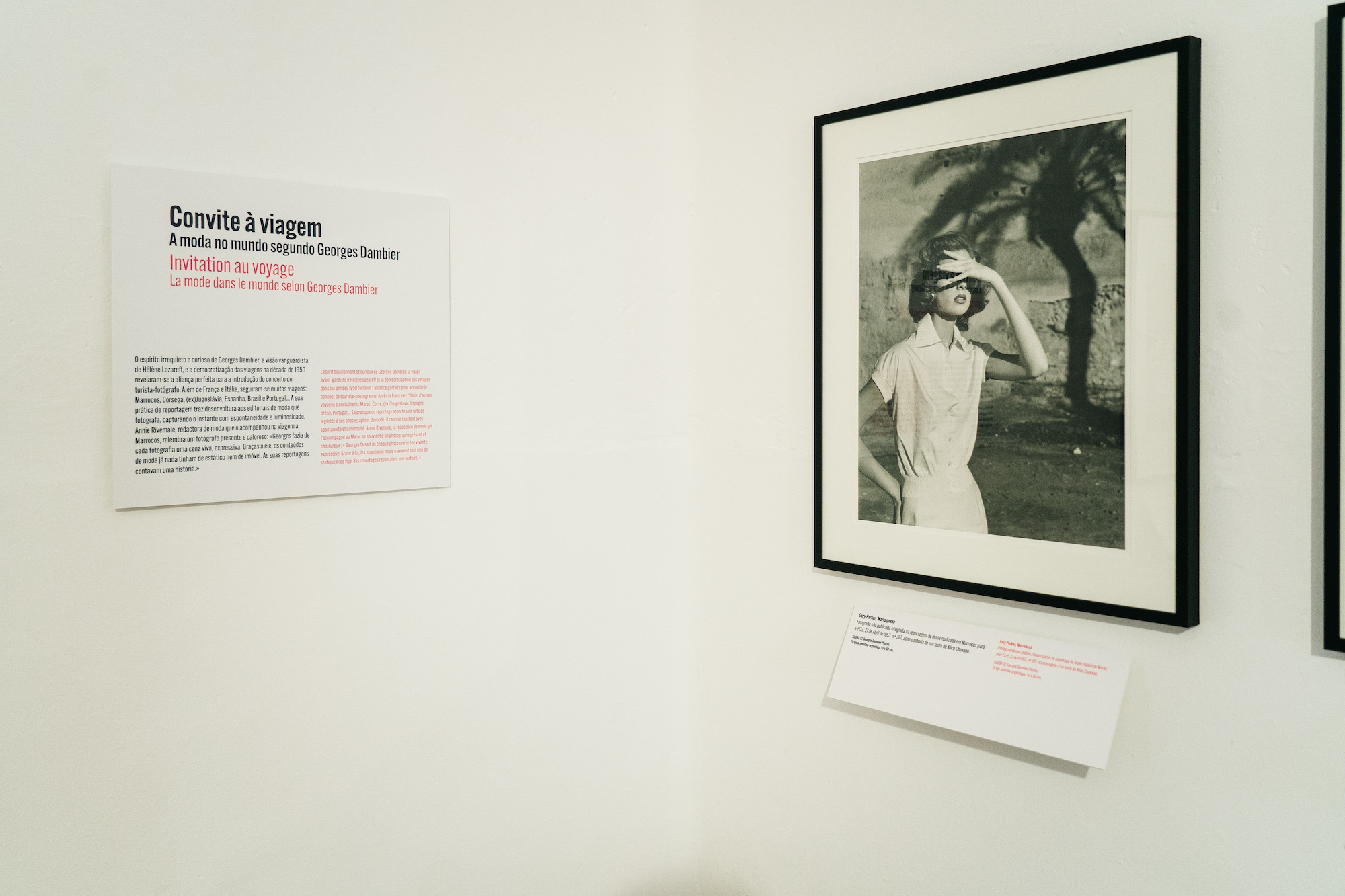 "Viver a sua Vida: Georges Dambier e a Moda"