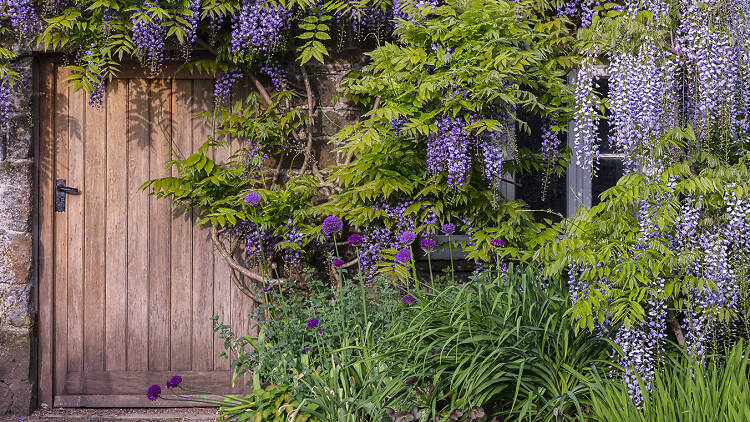 Aberglasney Gardens, Carmarthenshire