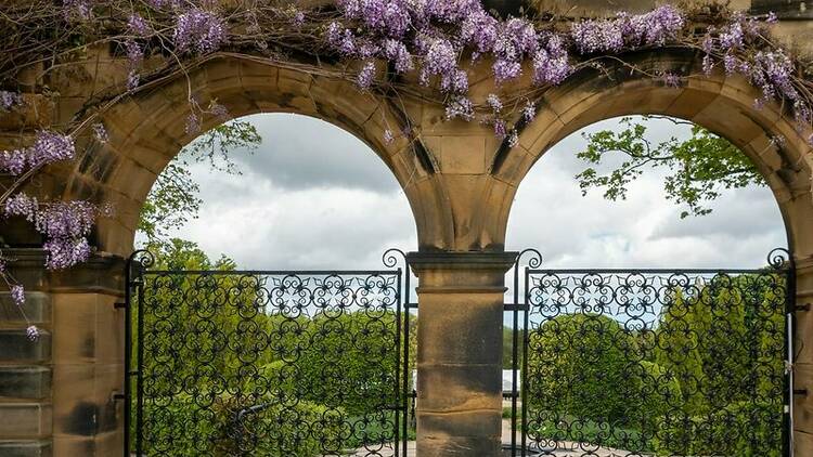 The Alnwick Garden, Northumberland