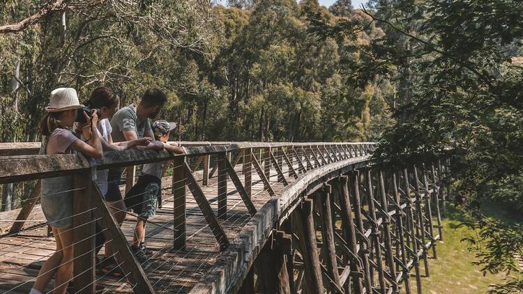 Tourists on a wooden bridge