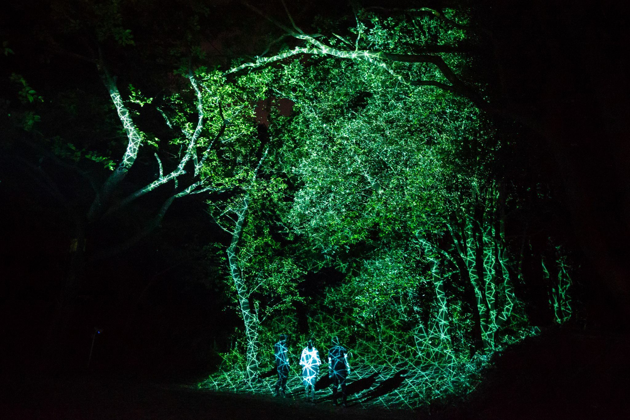 teamLab Botanical Garden