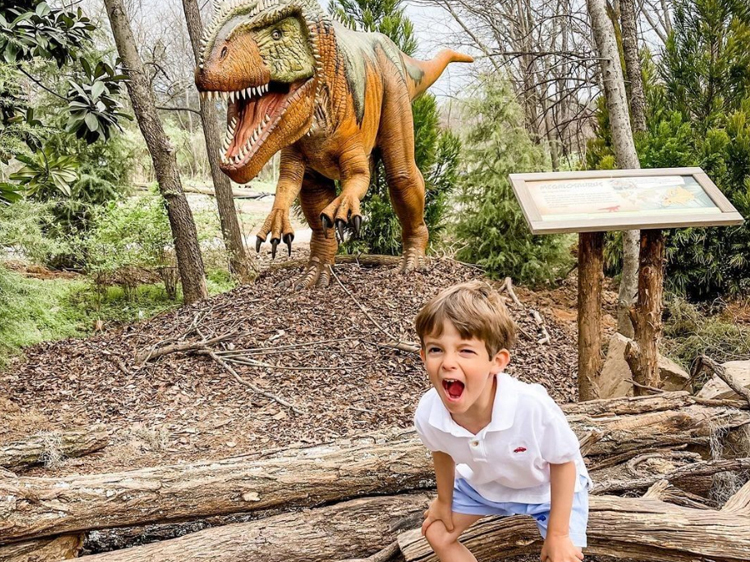 Tired Of The Same Old? Discover New Things To Do With Kids In Nashville Tn! - aio8q2u