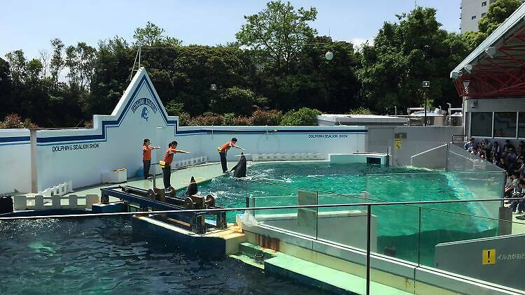 しながわ水族館