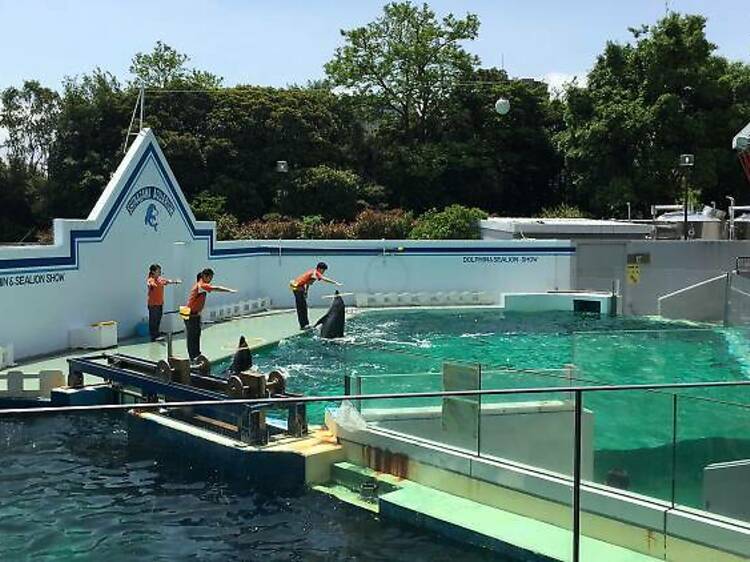 しながわ水族館が2027年リニューアル、歴史・文化発信の都市型観光拠点へ