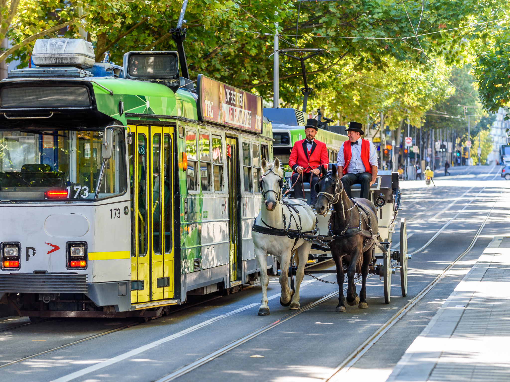 From next month, horse-drawn carriages will be banned from the CBD