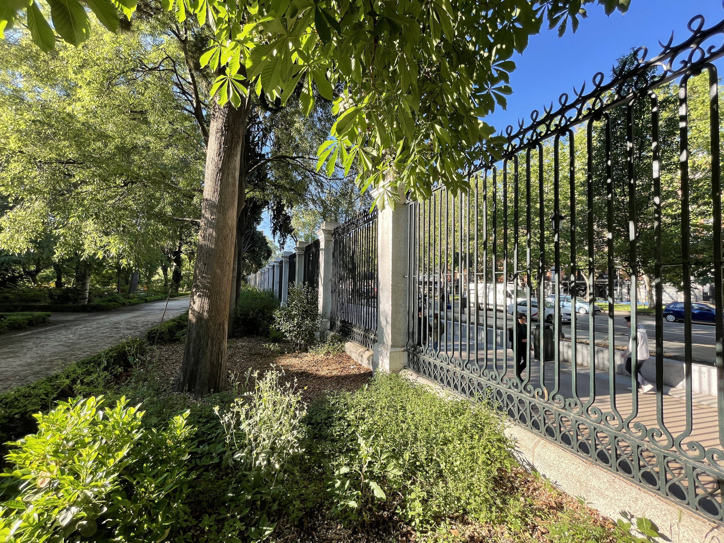 Real Jardín Botánico