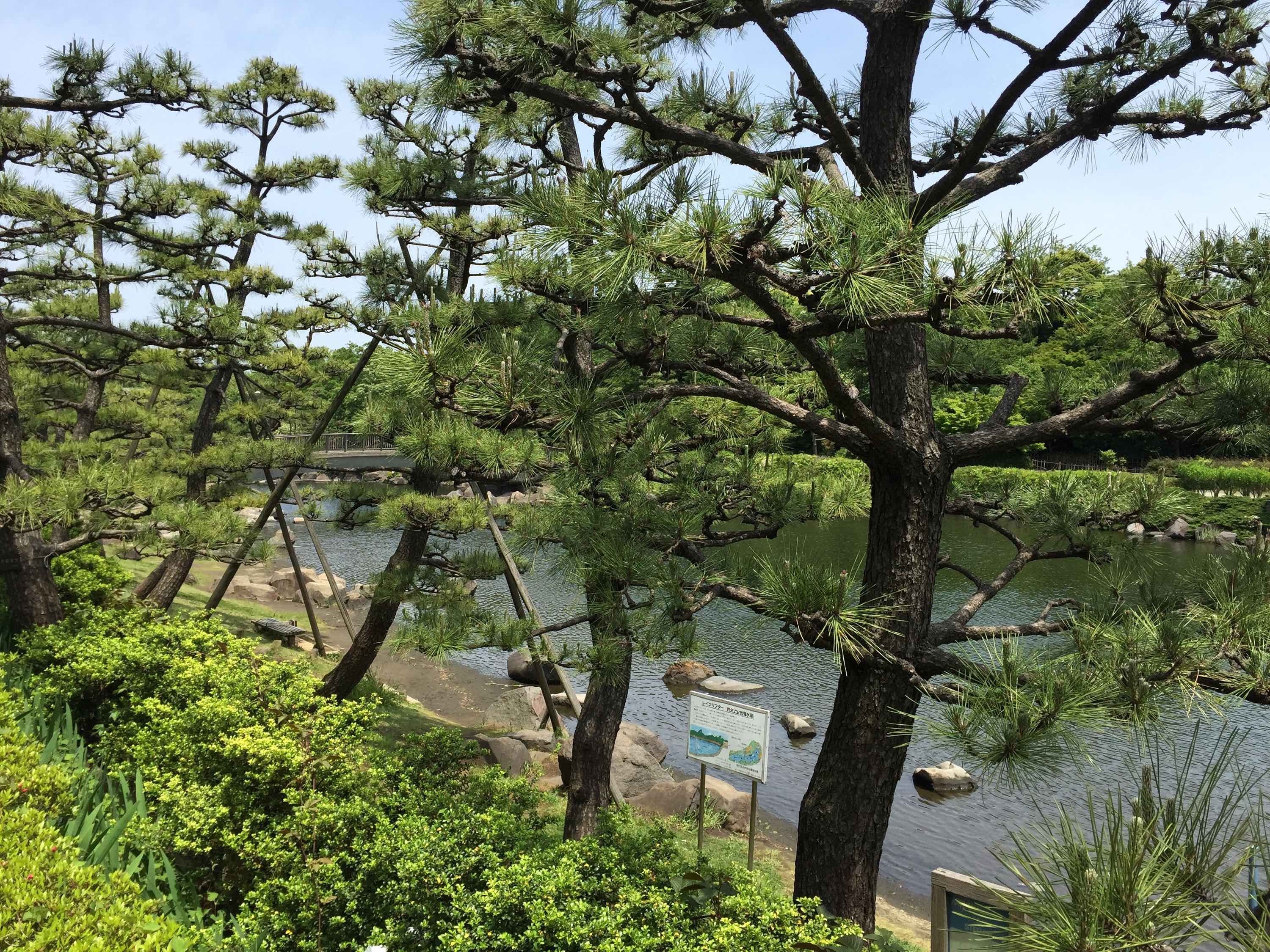 しながわ区民公園