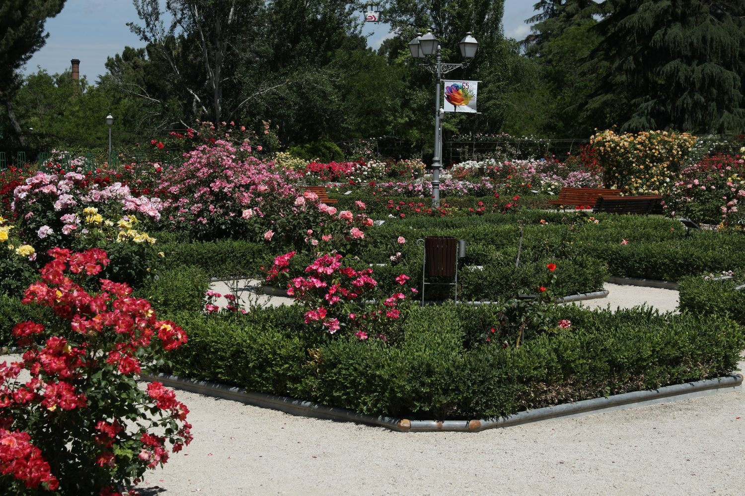 Rosaleda Parque del Oeste