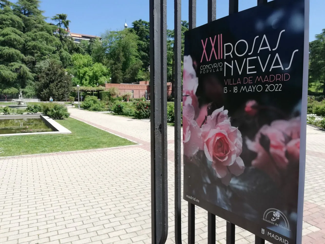 Rosaleda Parque del Oeste. Concurso rosa más bonita 2022
