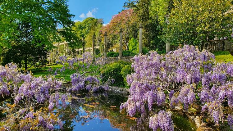 Iford Manor, Wiltshire