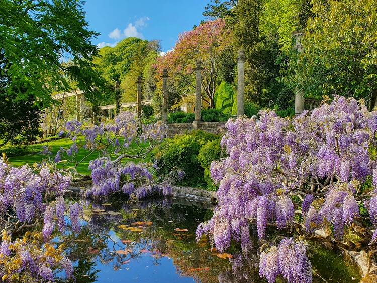 Iford Manor, Wiltshire