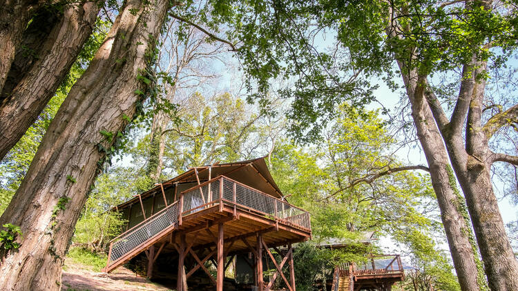 Treetop glamping at By the Wye, Powys