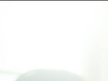 Tchaikovsky’s Wife Tchaikovsky’s Wife