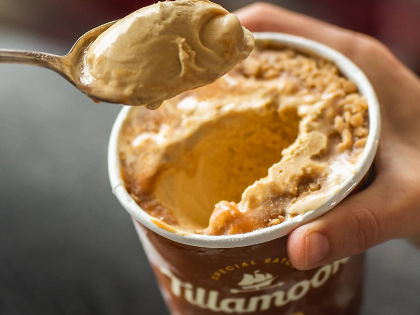 10 Best Food Tours in the USA