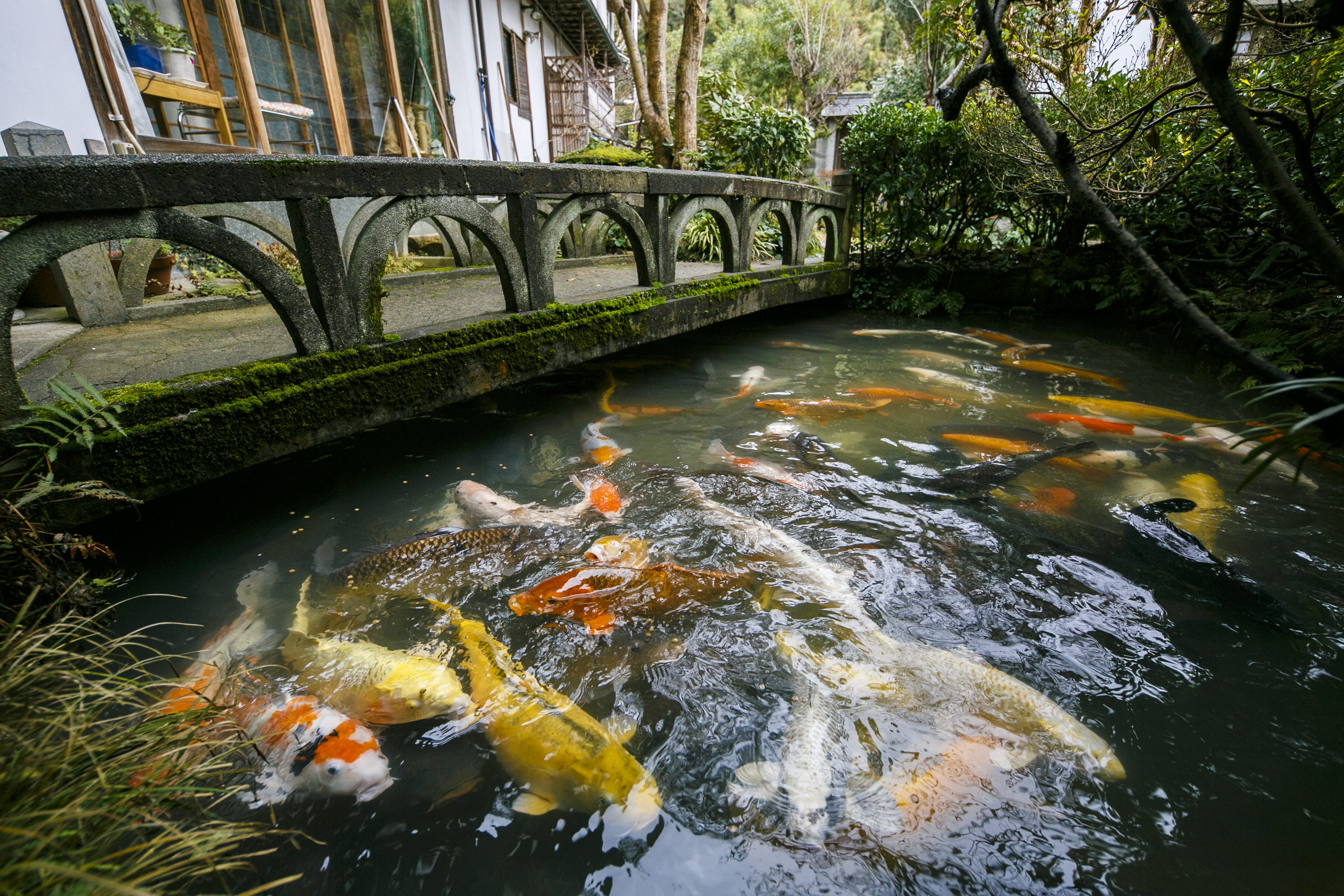 吉永米店