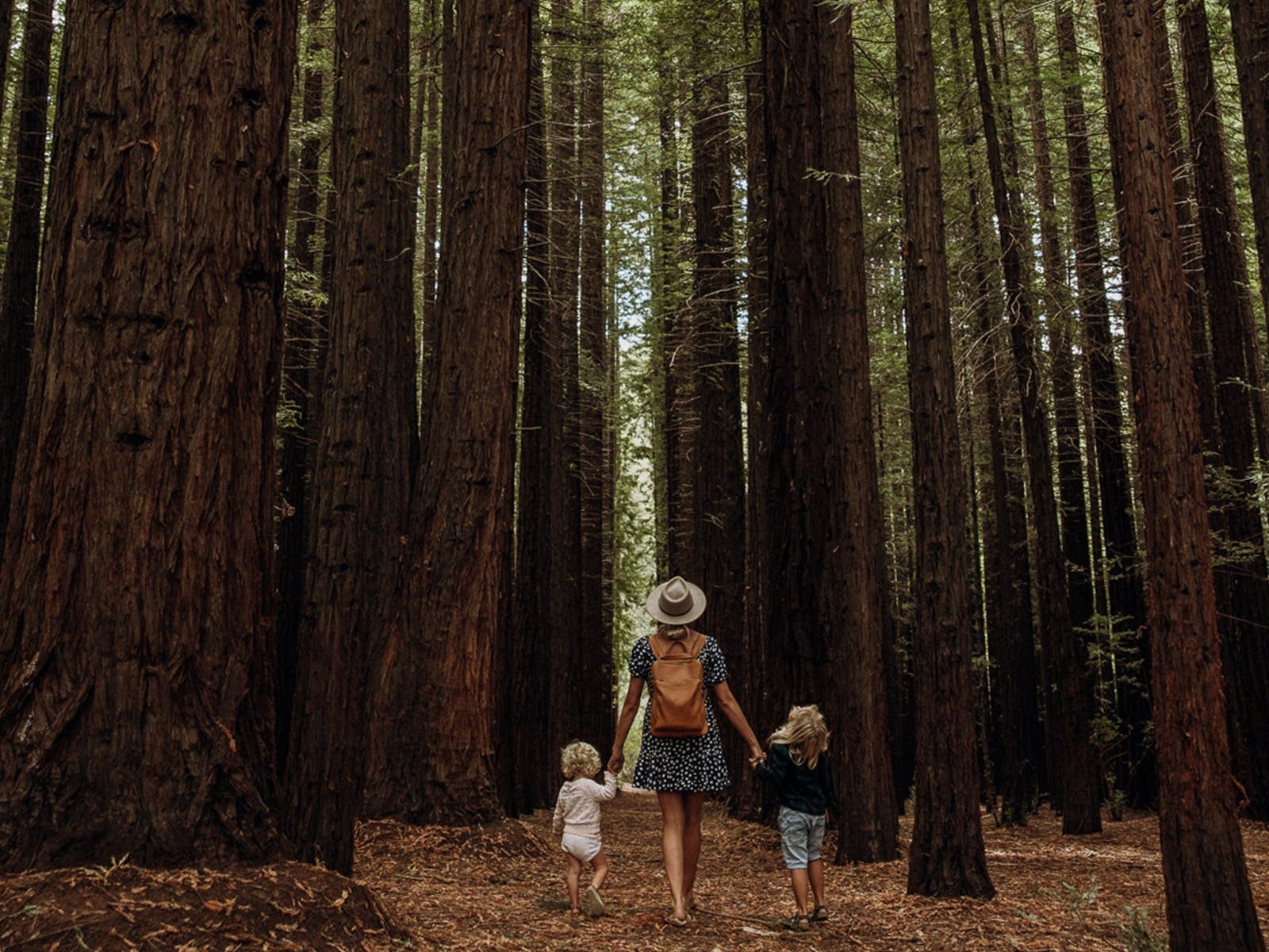 Things you can only do in the Yarra Valley and Dandenong Ranges