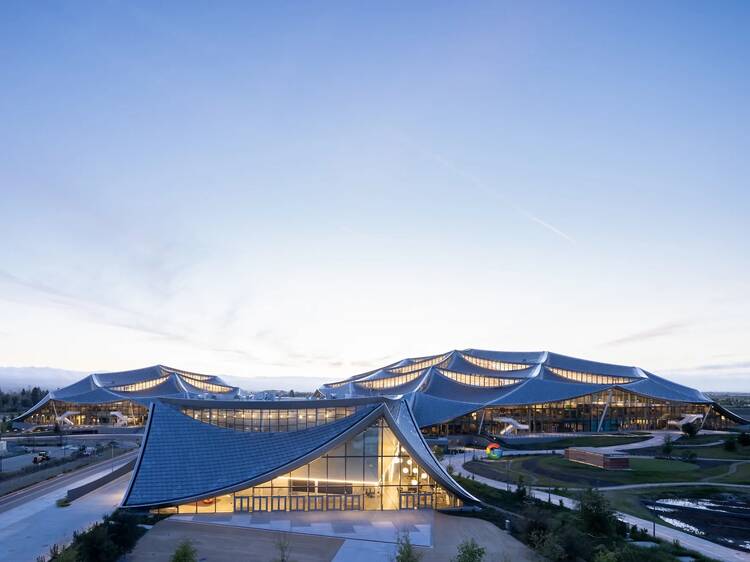 Are dragonscale roofs the future of sustainability in the US?