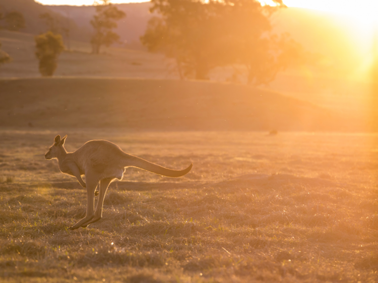 In the ACT – Southern Highlands