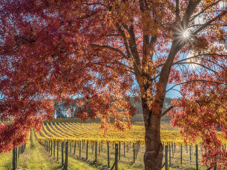 The Southern Highlands, NSW