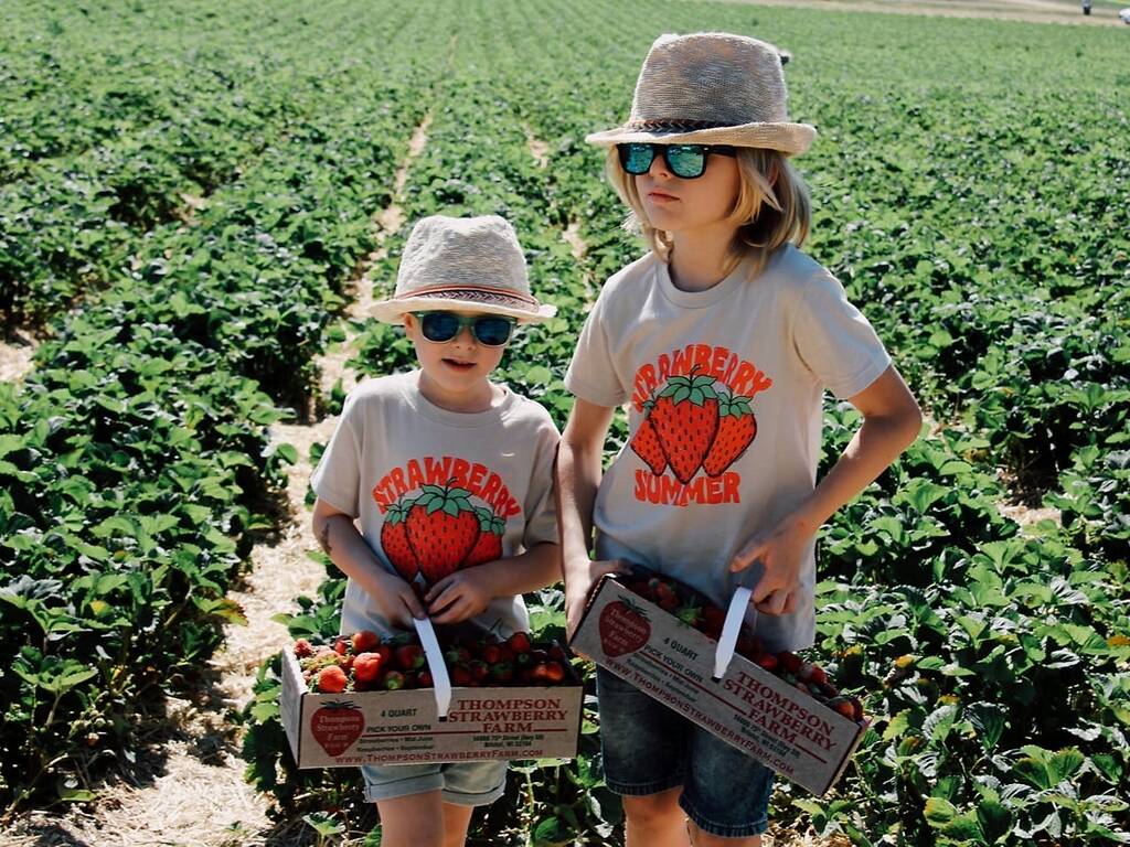 Best Berry Picking at Farms Near Chicago for Strawberries, Cherries & More