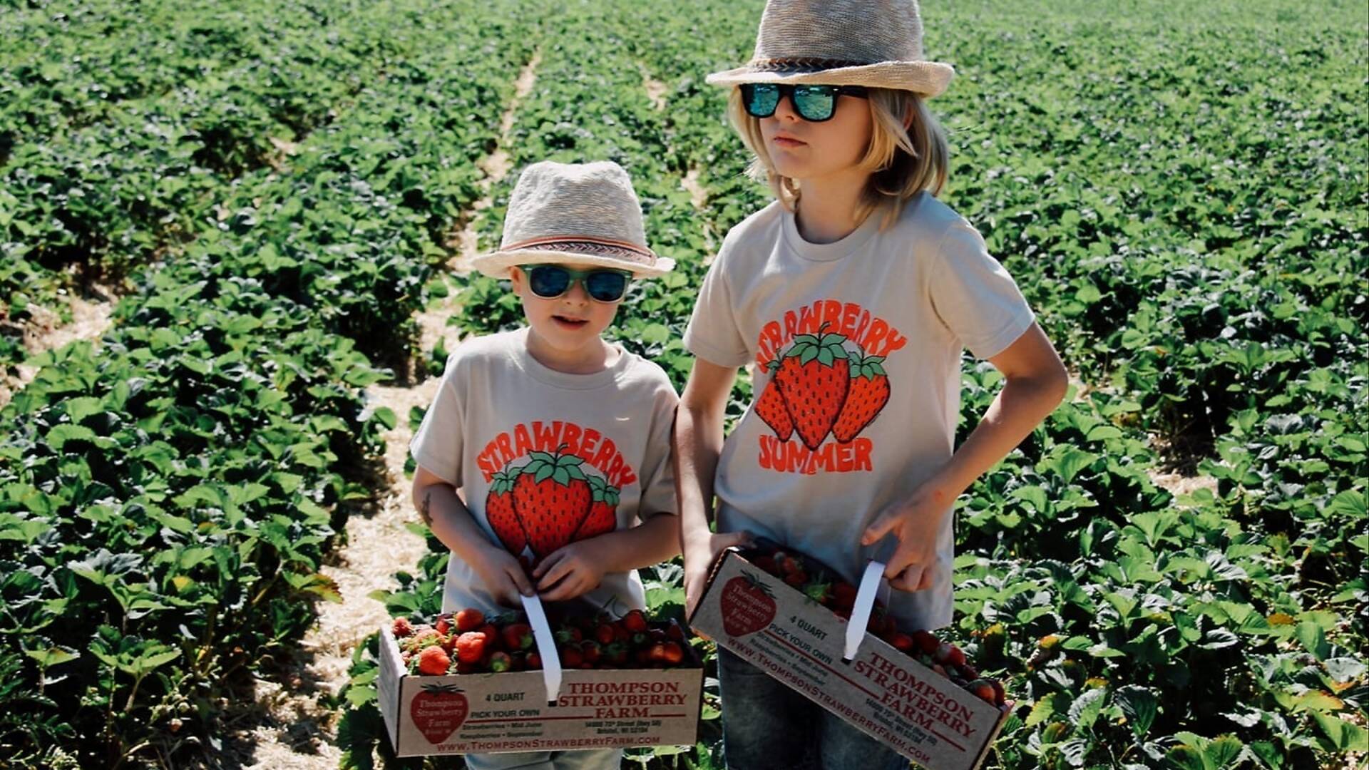 Best Berry Picking at Farms Near Chicago for Strawberries, Cherries & More