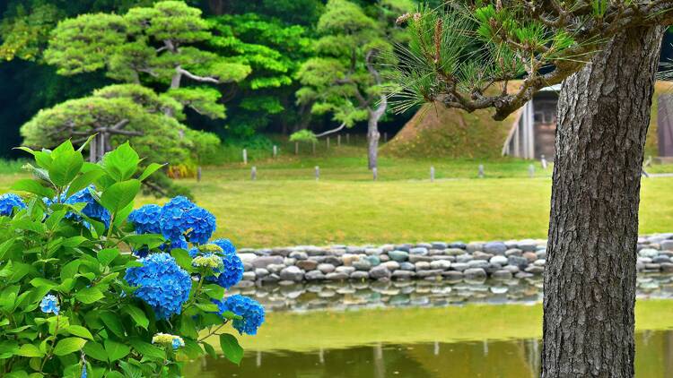 Hamarikyu Gardens